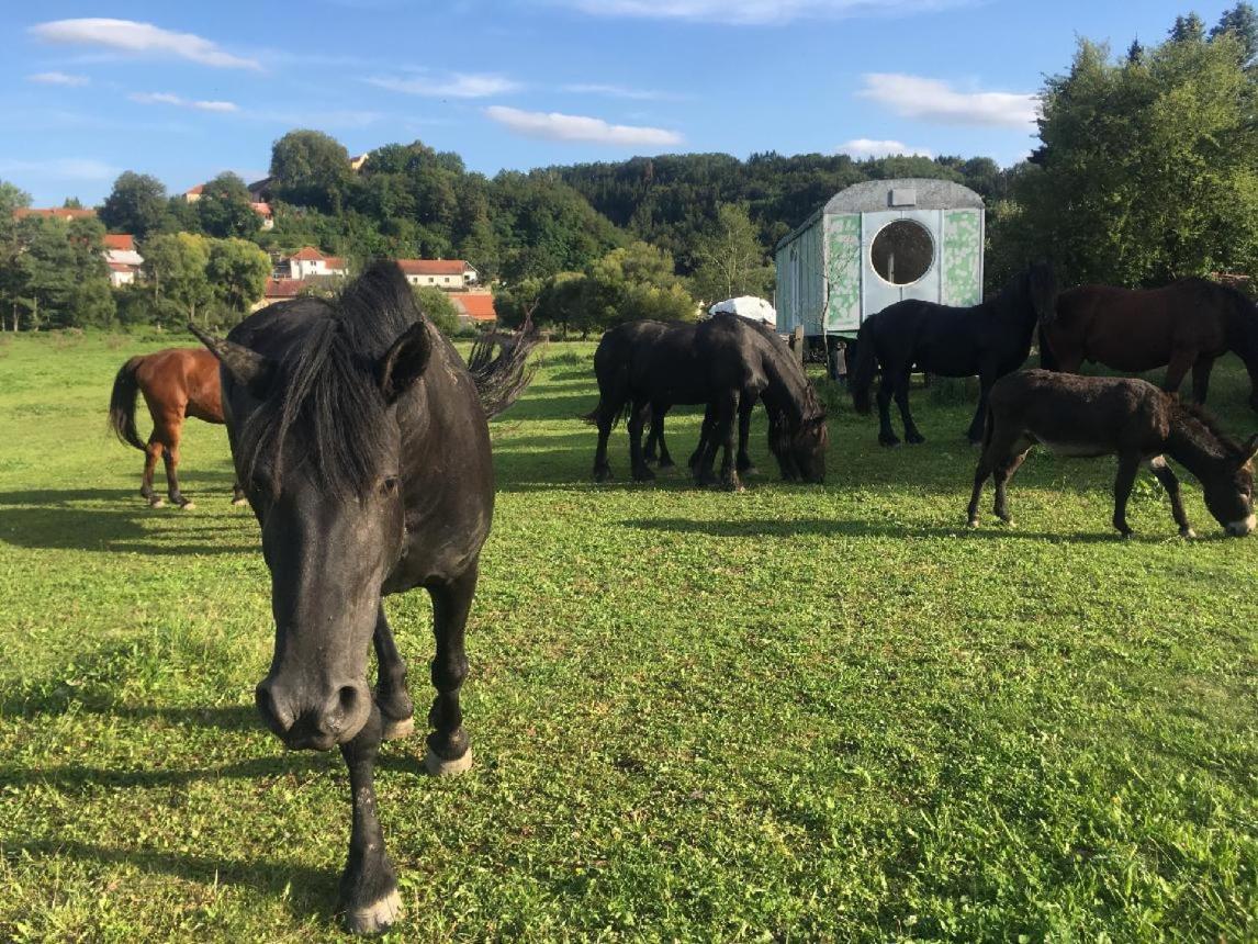 Glamping - Stylova Maringotka V Srdci Ladova Kraje, Pobliz Hlavniho Mesta Prahy Stribrna Skalice Luaran gambar