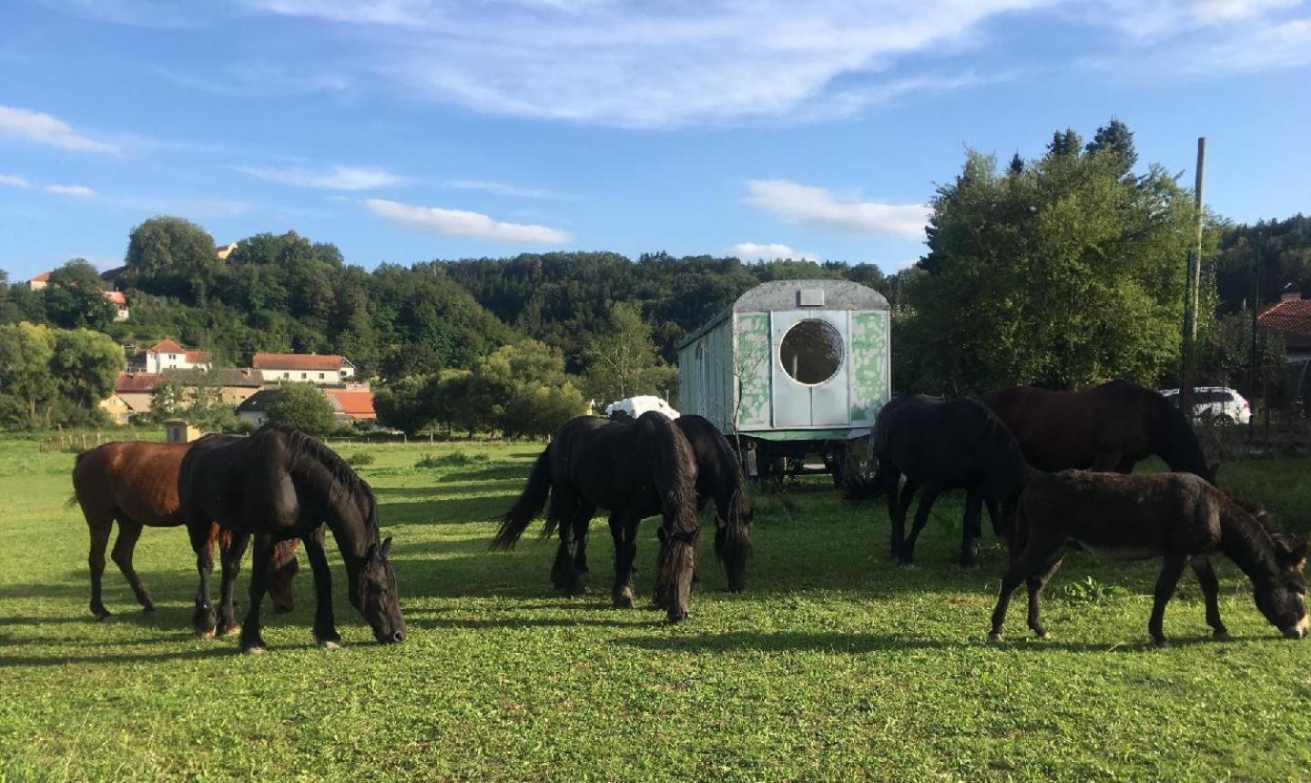 Glamping - Stylova Maringotka V Srdci Ladova Kraje, Pobliz Hlavniho Mesta Prahy Stribrna Skalice Luaran gambar