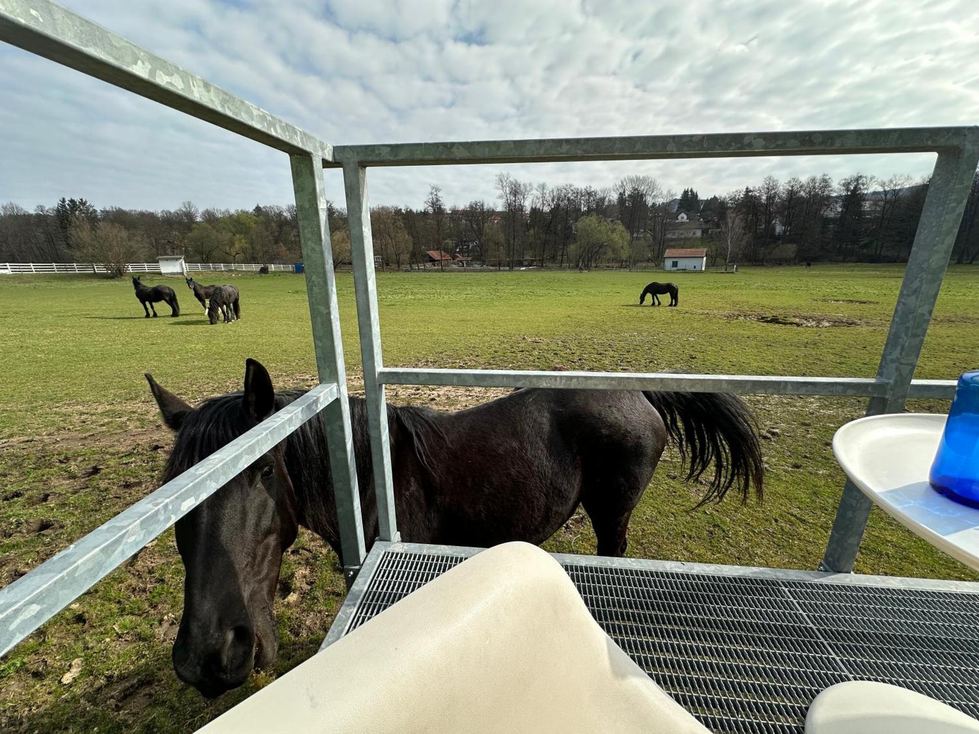 Glamping - Stylova Maringotka V Srdci Ladova Kraje, Pobliz Hlavniho Mesta Prahy Stribrna Skalice Luaran gambar